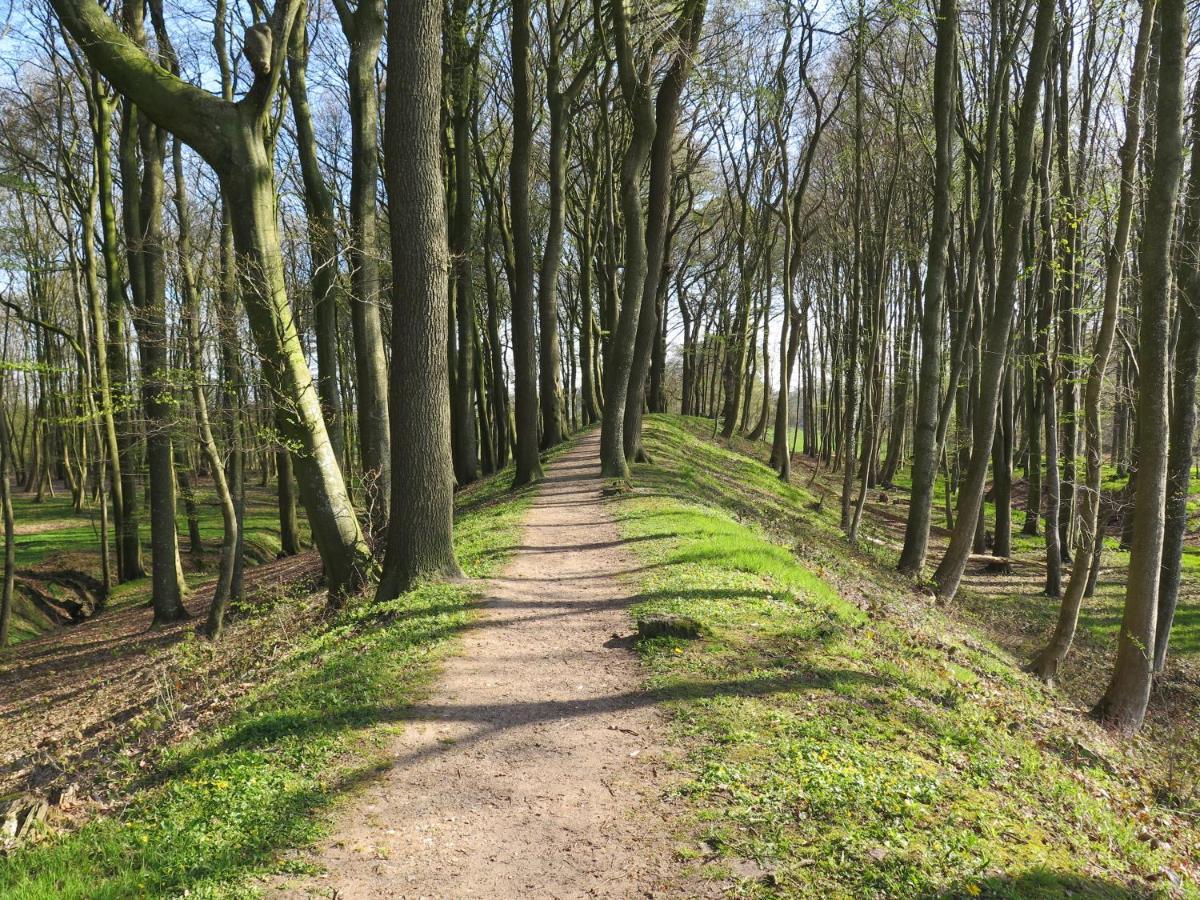 Ferienwohnungen Am Danewerk Dannewerk Exteriör bild